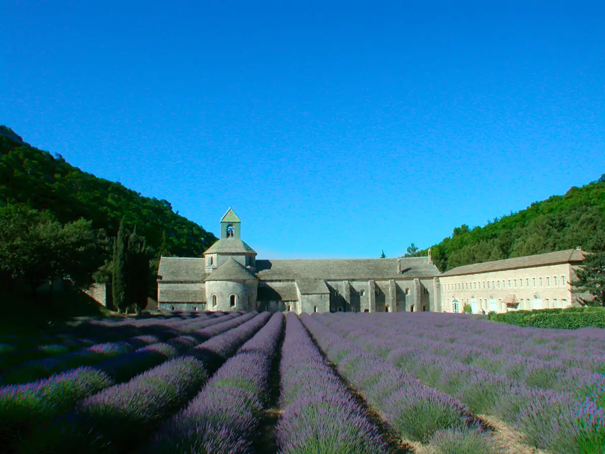 Abbaye de Sénanque